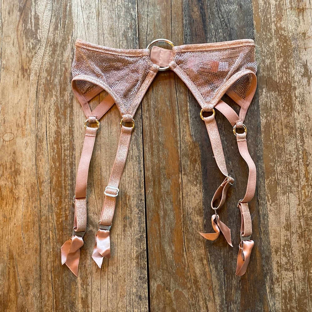 NWOT Agent Provocateur garter